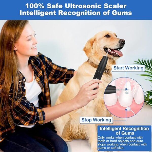 Dog Plaque and Tartar Remover,Dogs Teeth Cleaning Kit with Led Light - Image 2
