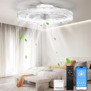 Ceiling Fans with Lights and Remote, 20'' Low Profile Flush Mount Ceiling Fan