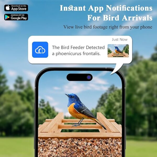 Smart Bird Feeder with Camera for Wild Birds - Identifies 11,000+ Species, Solar Panel Wireless Outdoors Bamboo - Image 3