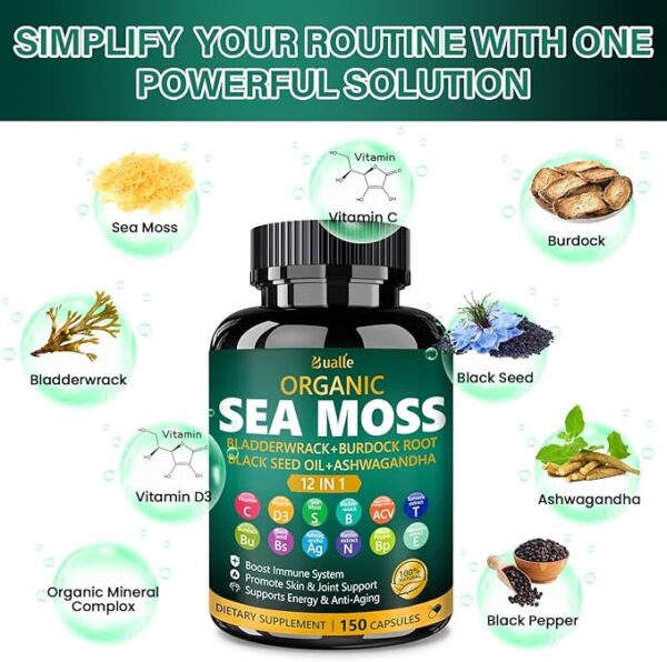 Organic Sea Moss Capsules with Sea Moss,Black Seed Oil,Ashwagandha,Bladderwrack,Ginger,Burdock Root for Immune - Image 3