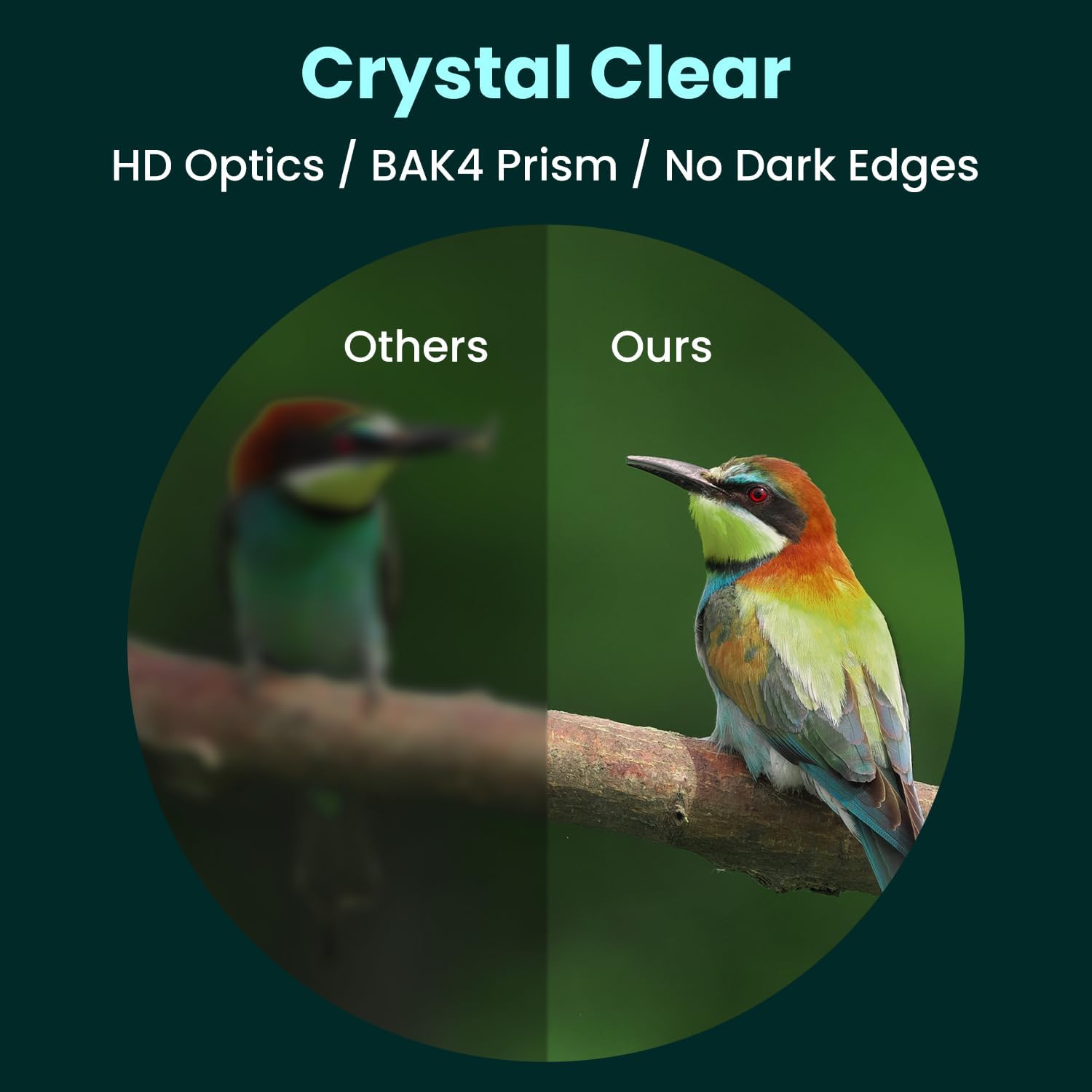 20x50 High Powered Binoculars for Adults, Waterproof Compact Binoculars with Low Light Vision Easy Focus for Bird Watching Hunting Travel Stargazing Cruise with Carrying Bag - Image 2